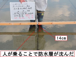 2015/12/ag34.jpg